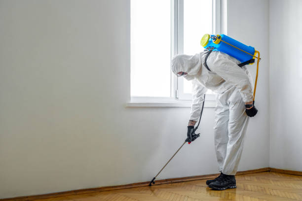 Best Mosquito Control Services  in Rancho San Diego, CA