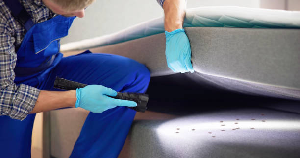 Best Best Pest Control Companies  in Rancho San Diego, CA