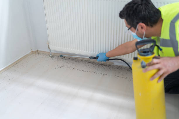  Rancho San Diego, CA Pest Control Pros