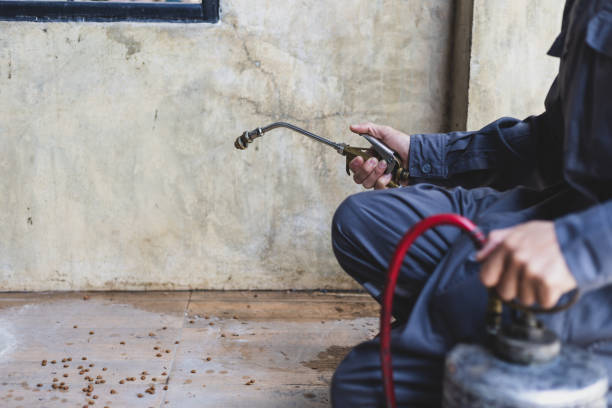 Best Best Pest Control Companies  in Rancho San Diego, CA